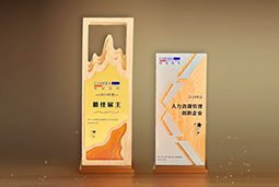 球客岛官网(中国)国际一举斩获“2024年度中国区最佳雇主”等多项大奖