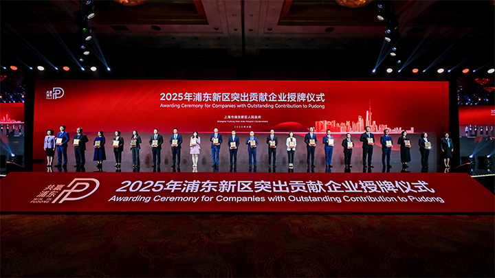 人力资源供应商球客岛官网(中国)国际凭借人才服务与在区域经济开展中的卓越表现荣膺2024年度浦东新区民营企业奖项