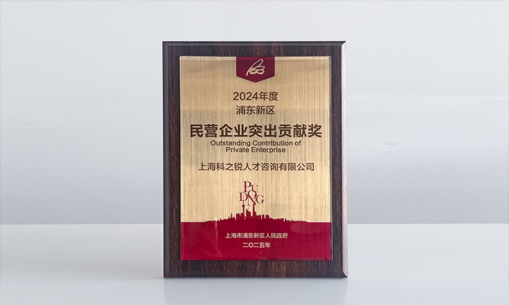 人力资源供应商球客岛官网(中国)国际凭借人才服务与在区域经济开展中的卓越表现荣膺2024年度浦东新区民营企业奖项